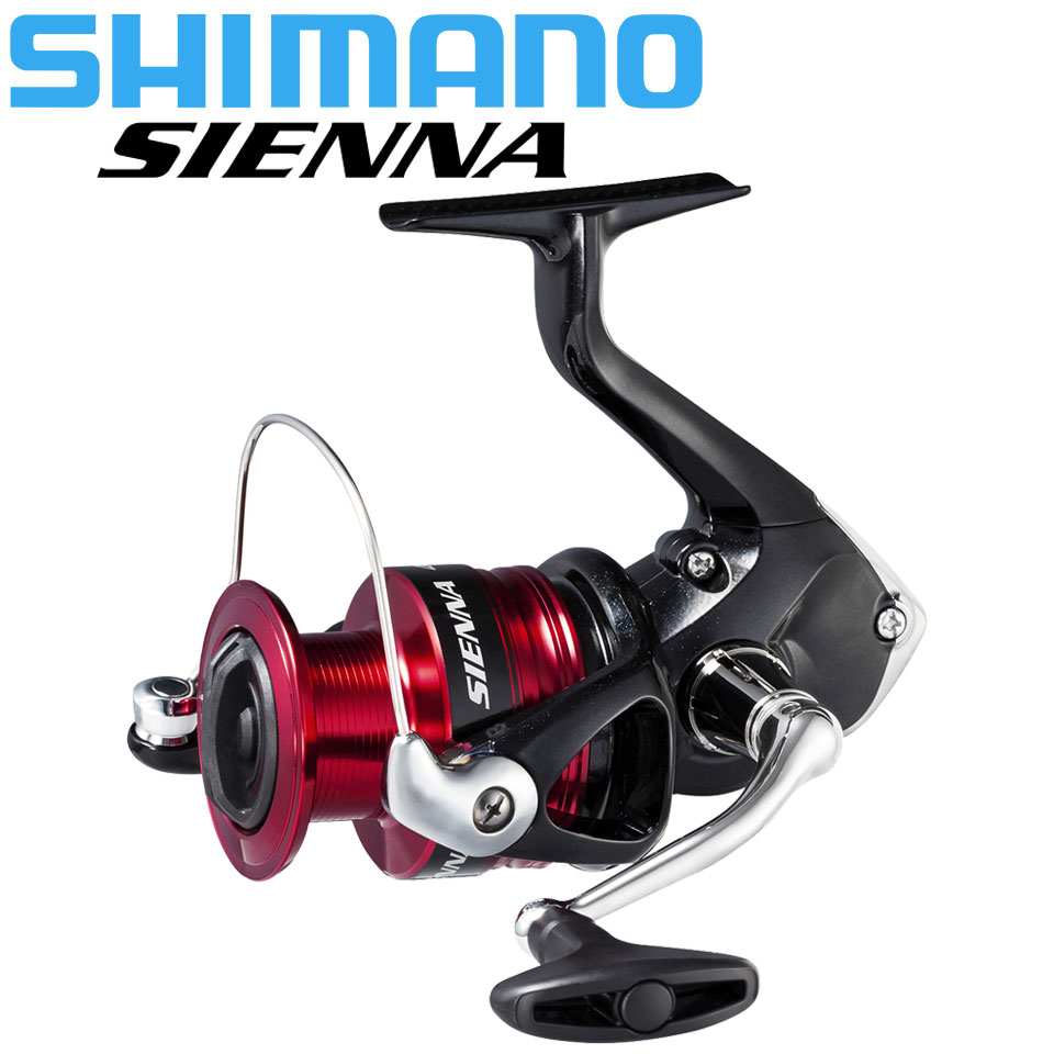 Daiwa Reel Bg - SHIMANO SIENNA Mulinello da pesca spinning